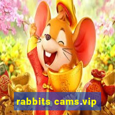 rabbits cams.vip